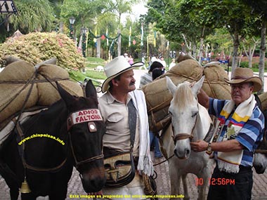 que es monta�ero en colombia,  fotos, imagenes,  fotografias, dibujos,  dibujos, graficos,  monta�ero paisa,  onta�ero antioque�o, monta�ero colombiano,  es un monta�ero en  Medellin, Antioquia, Colombia,
como son los monta�eros en Colombia