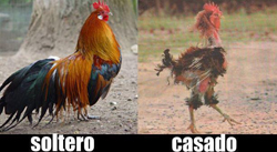 a la vanidad humana, poema sucio, poesia atrevida,  poemas sucios, , poemas atrevidos, poemas obscenos, graciosos, divertidos,  poemas sexuales graciosos, fotos, imagen, imagenes, fotografías,  pinturas, dibujos, graficos