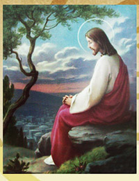  fotos, imagenes, imagen,   dibujos, fotografias, jesus en el huerto de los olivos,  poema, oracion, jesus, huerto, olivos