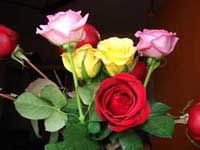  fotos, imagenes,  fotografias, dibujos,  fotografias, dibujos, graficos, piropos para mama, piropos para la madre, halagos para mama, piropos a mam�