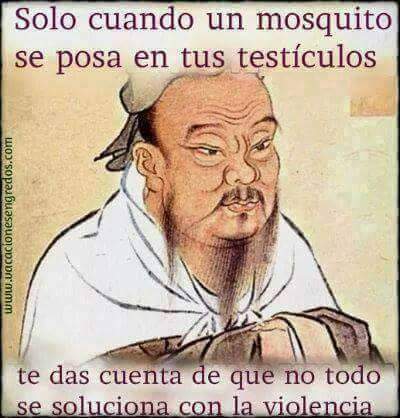 Dichos paisas, dichos paisas monta�eros, dichos de antioque�idad,  dichos antioque�os,, fotos, imagen, imagenes, fotograf�as, refranes paisas, vistas, pinturas, dibujos,  graficos, 
 exageraciones paisas, , no hay macho que no repare ni mula que no patee, dichos paisas monta�eros de Colombia