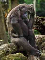 adivinanzas picantes para adultos, adivinanzas doble sentido,  moja a la mujer,  hombre se le pone duro, adivinanzas atrevidas, 
  fotos, imagenes, fotograf�as,    caricaturas, adivinanzas picantes, adivinanza picnte, hombre sobre su miembro,  un hombre,  mensajes maliciosos, dichos calientes